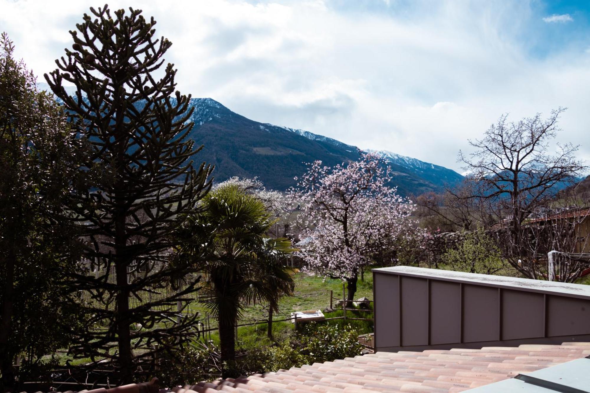 Garni Unterwegguetl Naturns Exterior foto